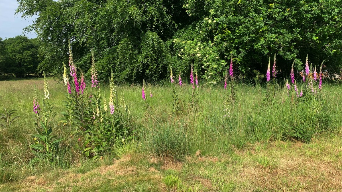 Stacks Image 1576