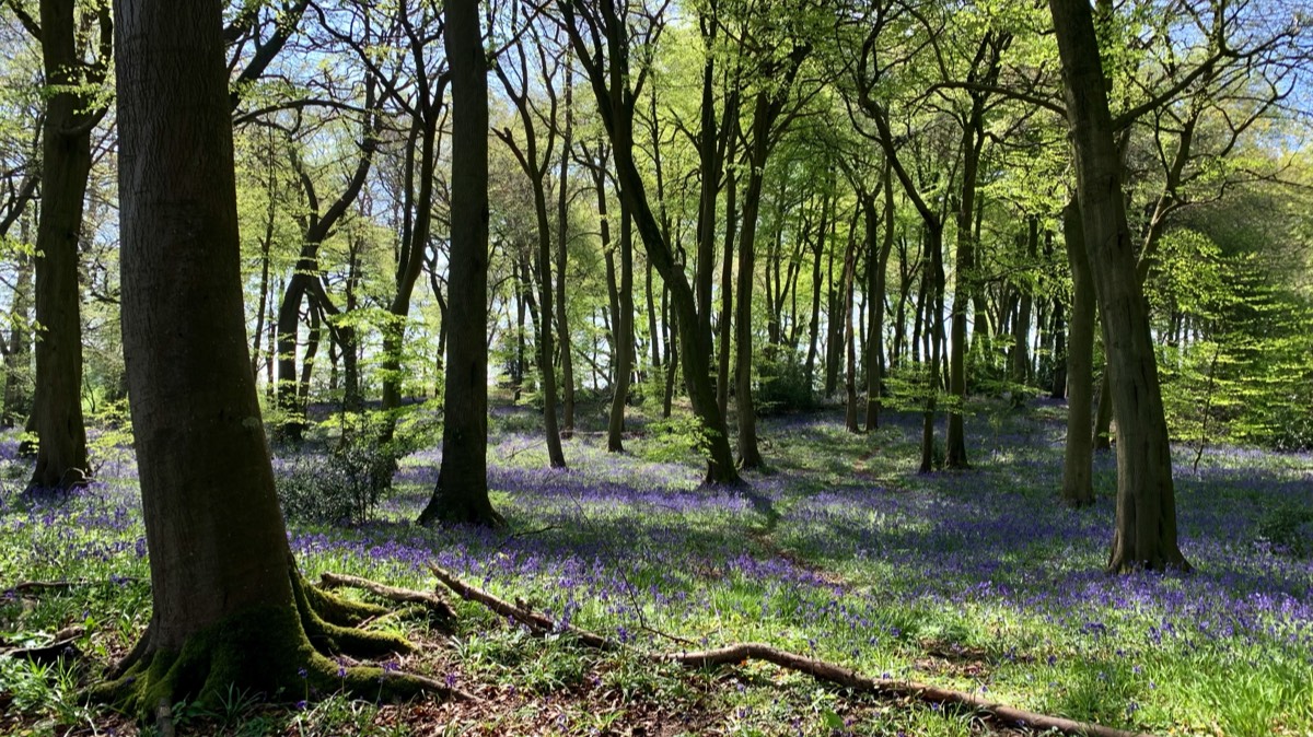 Stacks Image 1494